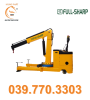 XE CẦN CẨU MINI - TẢI TRỌNG 500 ĐẾN 1000 KG - CHÍNH HÃNG - CHẤT LƯỢNG